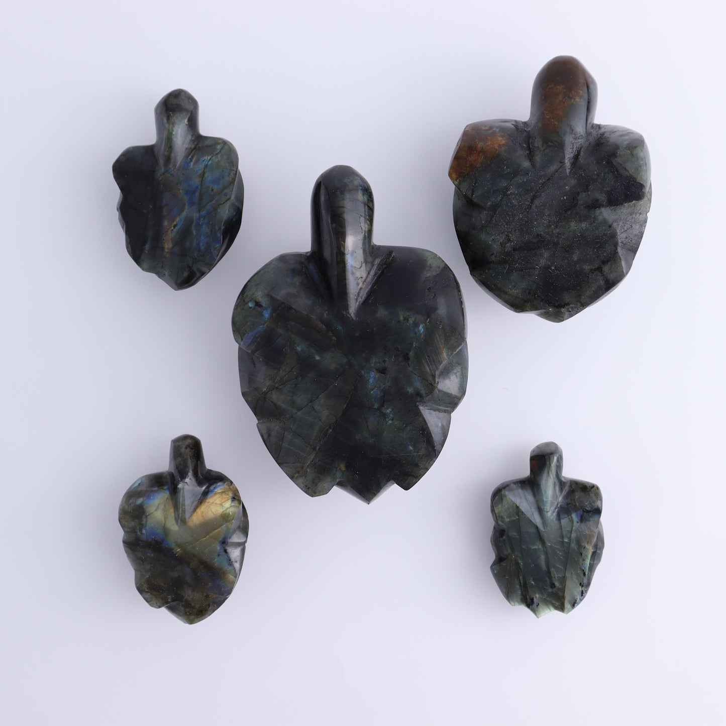 Labradorite Turtles Set of 5