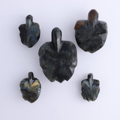 Labradorite Turtles Set of 5