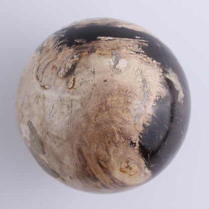 Petrified Wood Spheres Set of 3 - Expert Wholesale and Supplier of Wholesale Crystals & Bulk Gemstones, ["Indonesia","Petrified Wood","Spheres"]