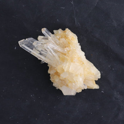 Lemurian Clusters from Columbia Set of 6