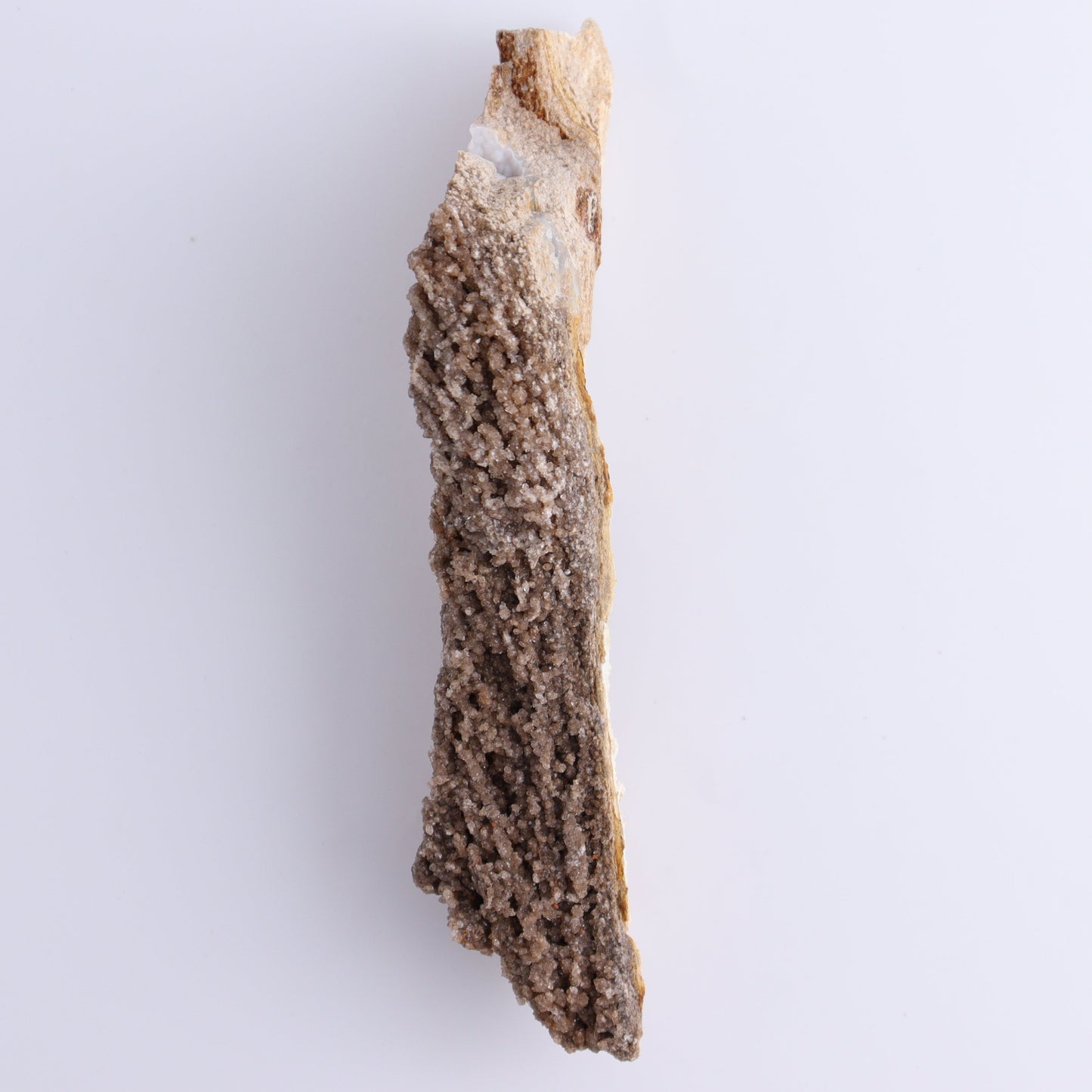 Petrified Wood Rough Set of 3 - Expert Wholesale and Supplier of Wholesale Crystals & Bulk Gemstones, ["Freeforms","Petrified Wood","Rough"]