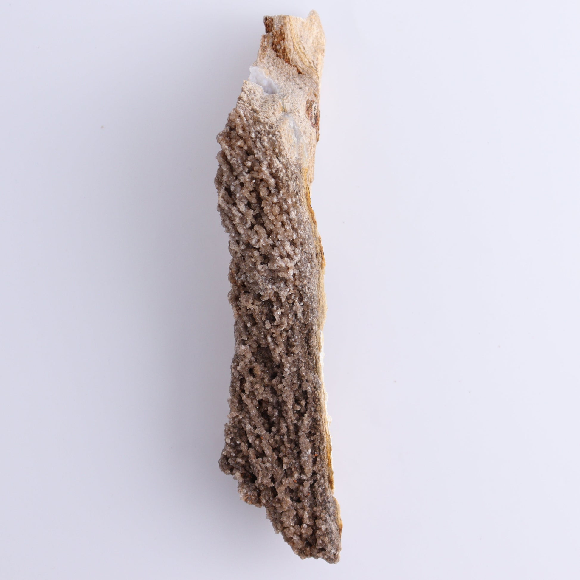 Petrified Wood Rough Set of 3 - Expert Wholesale and Supplier of Wholesale Crystals & Bulk Gemstones, ["Freeforms","Petrified Wood","Rough"]