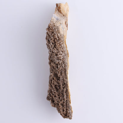Petrified Wood Rough Set of 3 - Expert Wholesale and Supplier of Wholesale Crystals & Bulk Gemstones, ["Freeforms","Petrified Wood","Rough"]