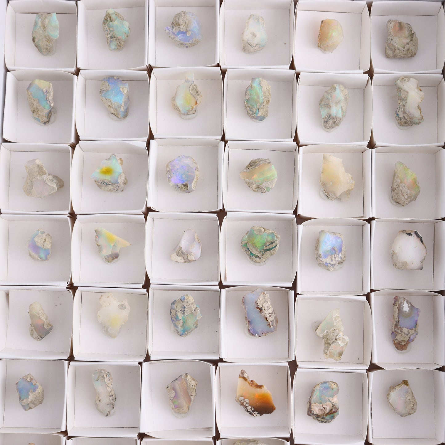 Ethiopian Opal Set of 54 - Expert Wholesale and Supplier of Wholesale Crystals & Bulk Gemstones, ["Ethiopia","ethiopian opal","Opal"]