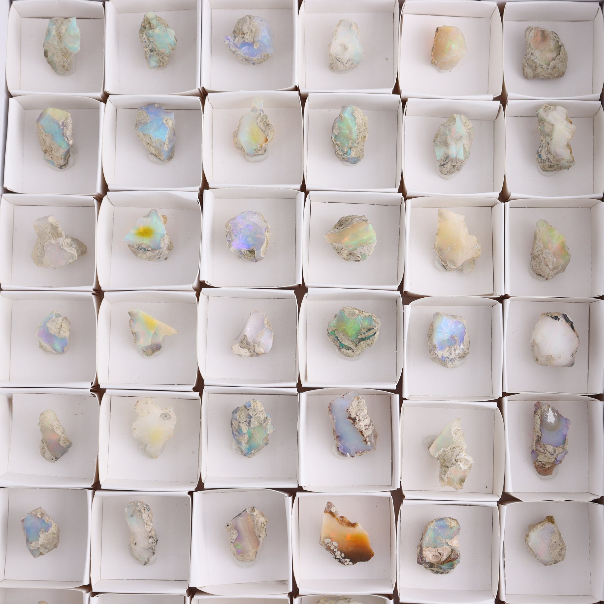 Ethiopian Opal Set of 54 - Expert Wholesale and Supplier of Wholesale Crystals & Bulk Gemstones, ["Ethiopia","ethiopian opal","Opal"]