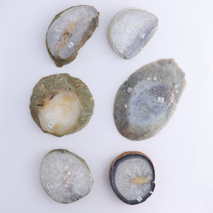 Agate Slices Set of 6 - Expert Wholesale and Supplier of Wholesale Crystals & Bulk Gemstones, ["Agate","Brazil","Slices and Slabs"]