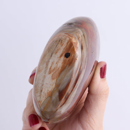 Petrified Wood Freeforms Set of 3 - Expert Wholesale and Supplier of Wholesale Crystals & Bulk Gemstones, ["Freeform","Freeforms","Madagascar","Petrified Wood"]
