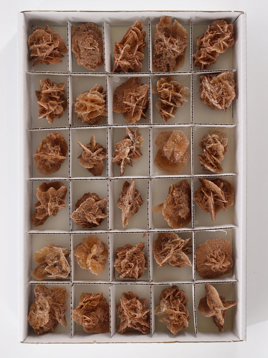 Desert Rose Flat - Expert Supplier of Wholesale Crystals & Bulk Gemstones