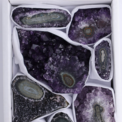Uruguay Amethyst Clusters with "Eyes" Flat of 9 - Expert Wholesale and Supplier of Wholesale Crystals & Bulk Gemstones, ["Amethyst","Clusters","Eyes Amethyst","Uruguay"]