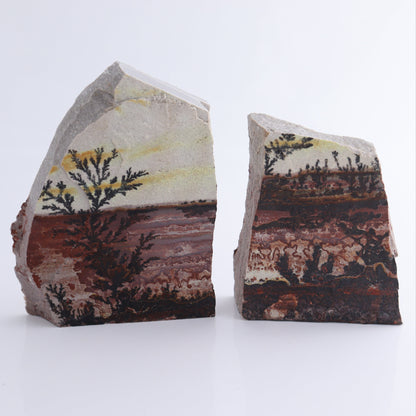 Dendrites Flat Set of 4 - Expert Wholesale and Supplier of Wholesale Crystals & Bulk Gemstones, ["Dendrite","Flats"]