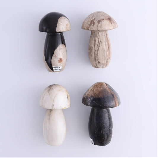 Petrified Wood Mushrooms Set of 4