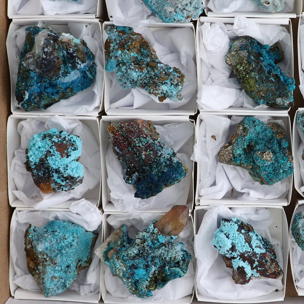 Chrysocolla on Quartz Roughs Set of 18
