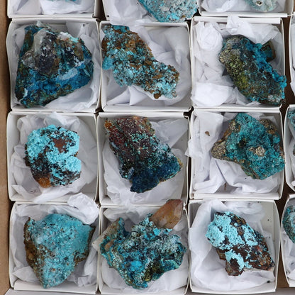 Chrysocolla on Quartz Roughs Set of 18