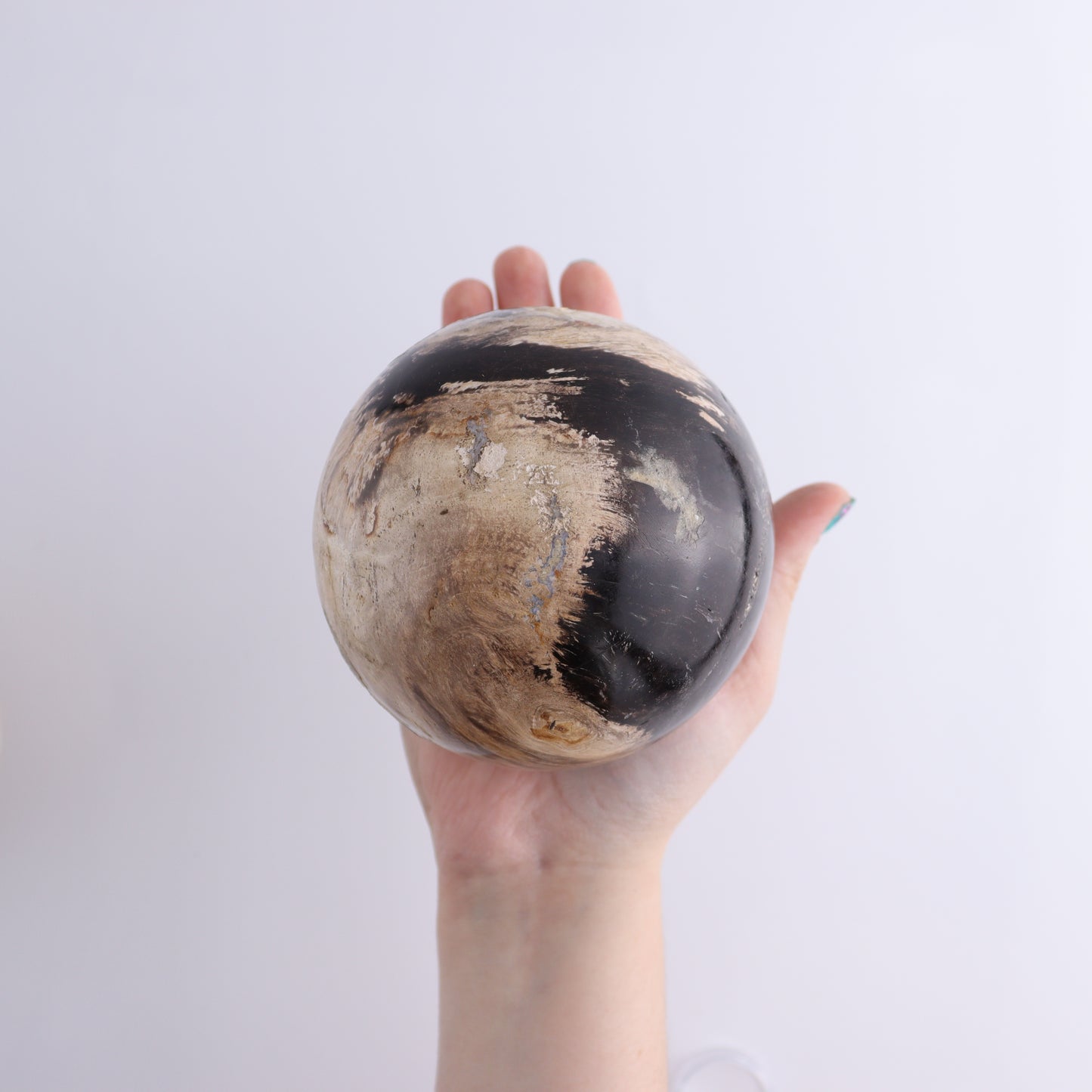 Petrified Wood Spheres Set of 3 - Expert Wholesale and Supplier of Wholesale Crystals & Bulk Gemstones, ["Indonesia","Petrified Wood","Spheres"]