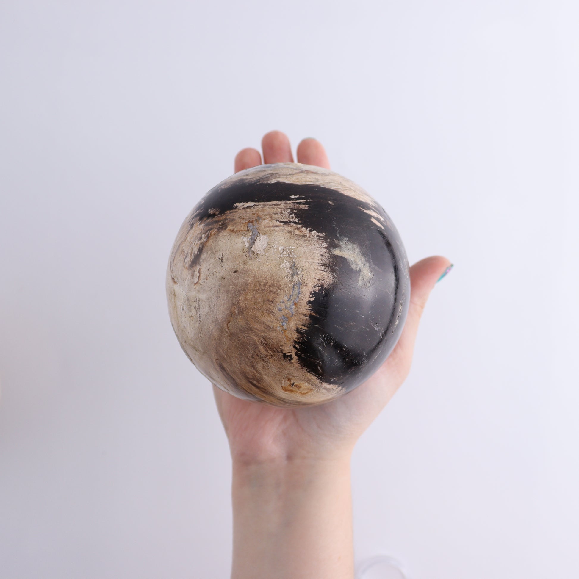 Petrified Wood Spheres Set of 3 - Expert Wholesale and Supplier of Wholesale Crystals & Bulk Gemstones, ["Indonesia","Petrified Wood","Spheres"]