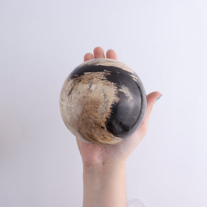 Petrified Wood Spheres Set of 3 - Expert Wholesale and Supplier of Wholesale Crystals & Bulk Gemstones, ["Indonesia","Petrified Wood","Spheres"]