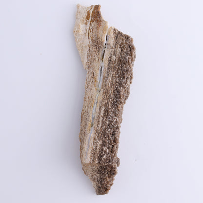 Petrified Wood Rough Set of 3 - Expert Wholesale and Supplier of Wholesale Crystals & Bulk Gemstones, ["Freeforms","Petrified Wood","Rough"]