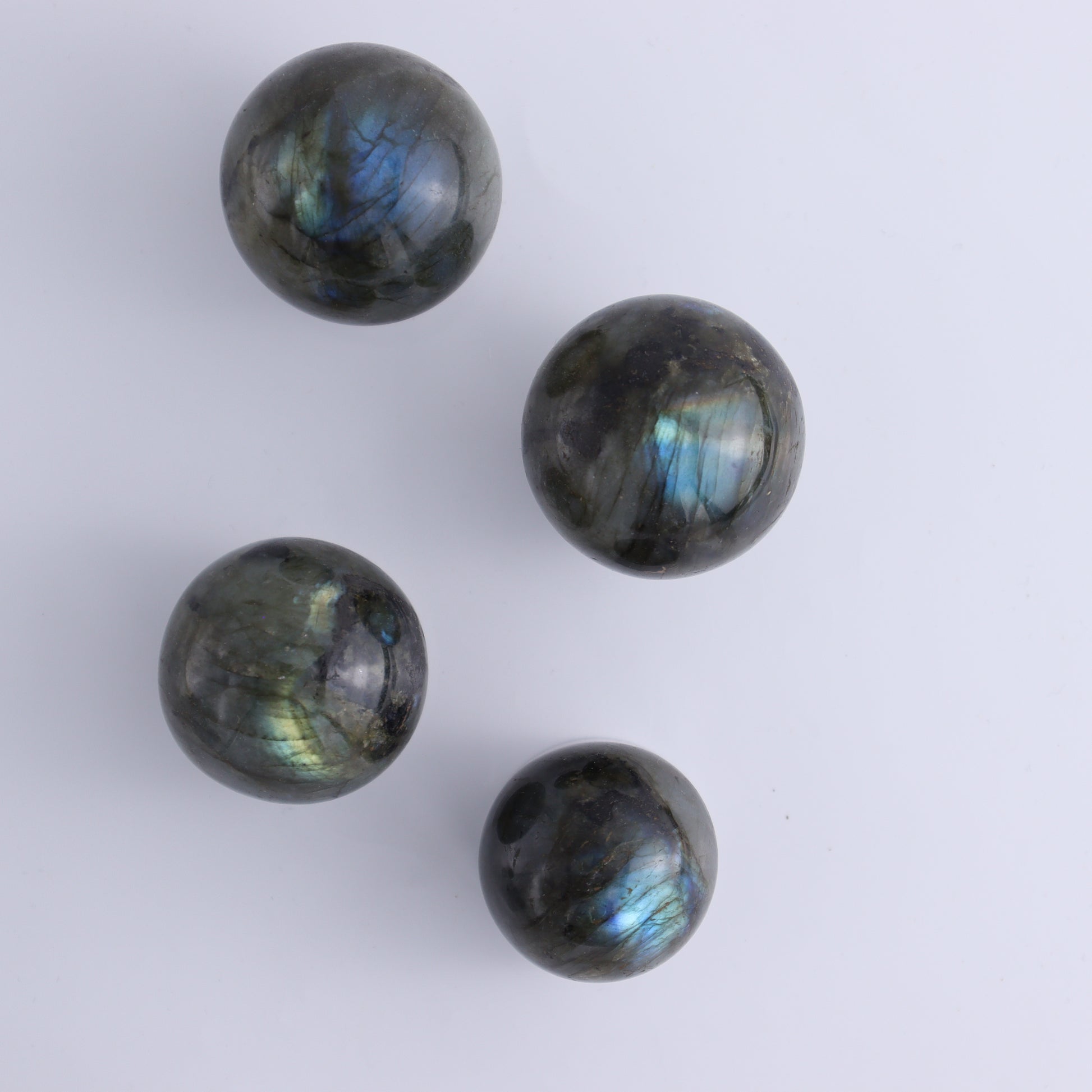 Labradorite Spheres Flat of 24 - Expert Wholesale and Supplier of Wholesale Crystals & Bulk Gemstones, ["Labradorite","Madagascar","Spheres"]
