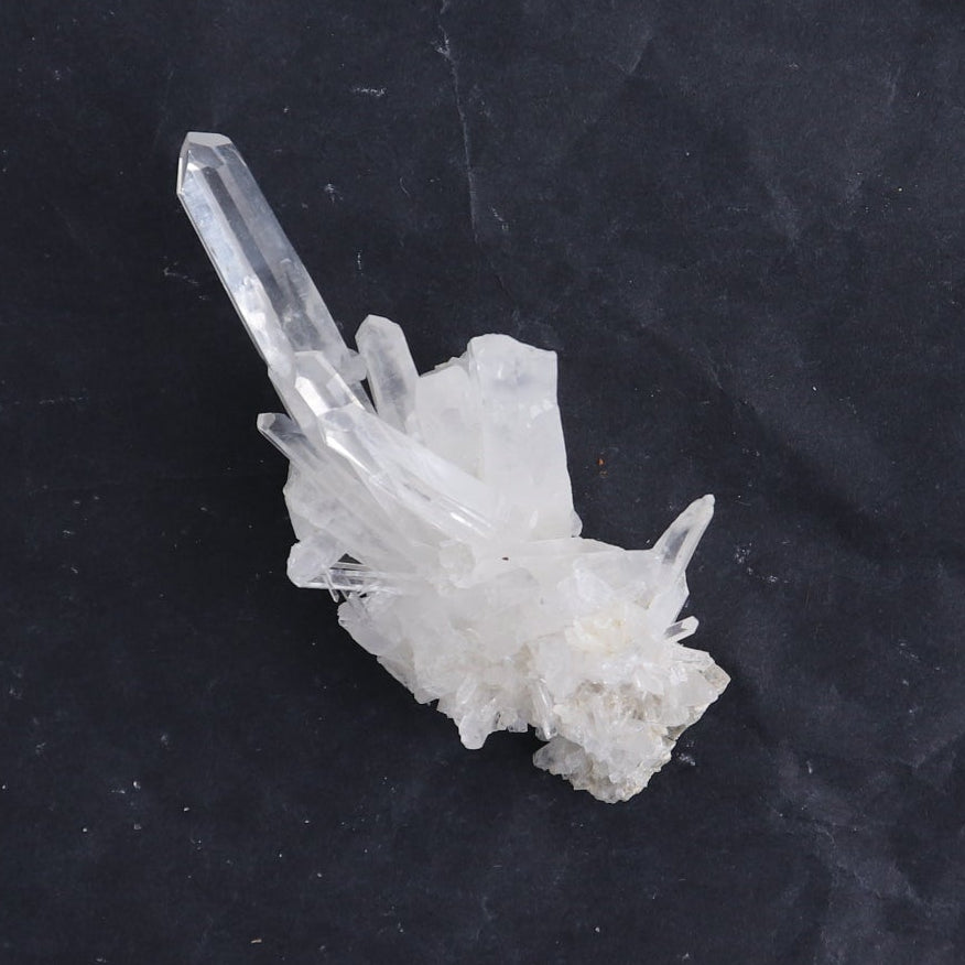 Lemurian Clusters from Columbia Set of 6