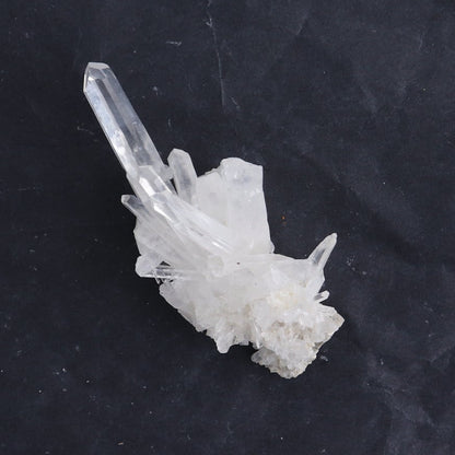 Lemurian Clusters from Columbia Set of 6