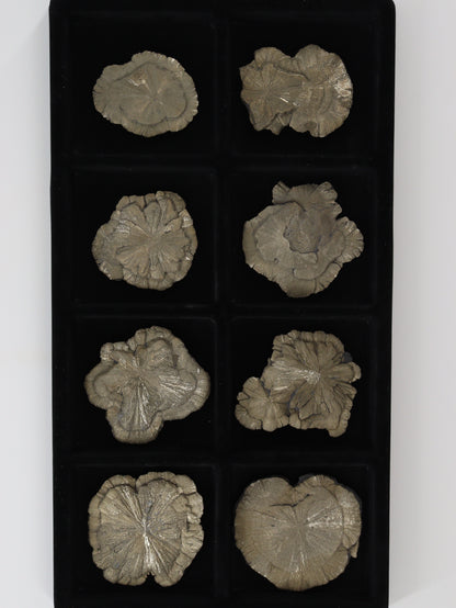 Pyrite Slices and Slabs Set of 8 - Expert Wholesale and Supplier of Wholesale Crystals & Bulk Gemstones, []