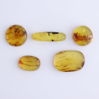 Chiapas Mexico Amber Cabs Set of 5 - Expert Wholesale and Supplier of Wholesale Crystals & Bulk Gemstones, ["Amber","Cabs","Chiapas Amber","Mexico"]