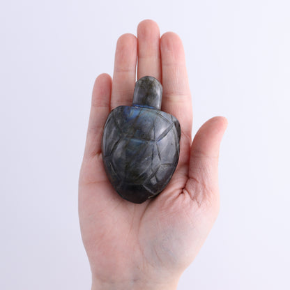 Labradorite Turtles Set of 5