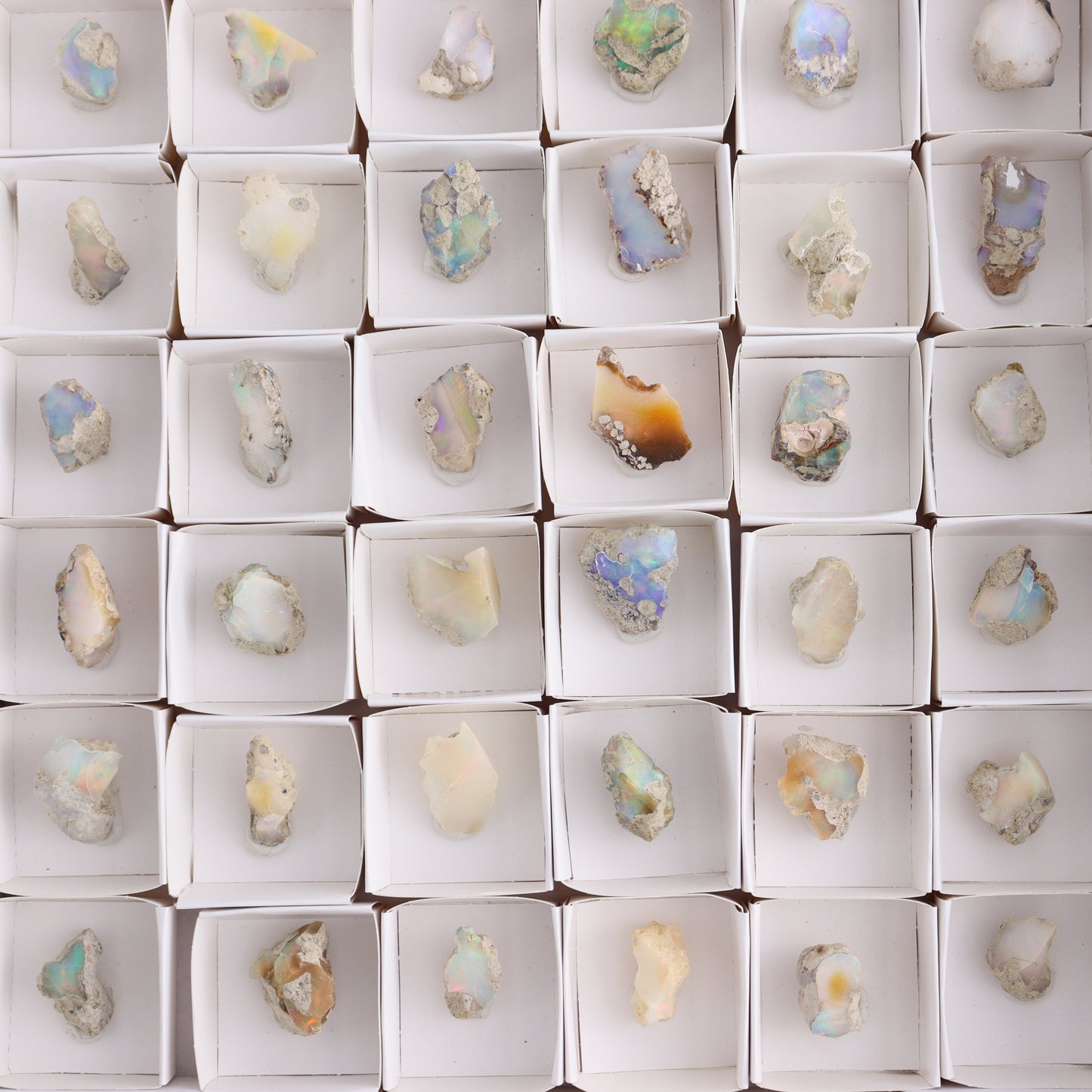 Ethiopian Opal Set of 54 - Expert Wholesale and Supplier of Wholesale Crystals & Bulk Gemstones, ["Ethiopia","ethiopian opal","Opal"]