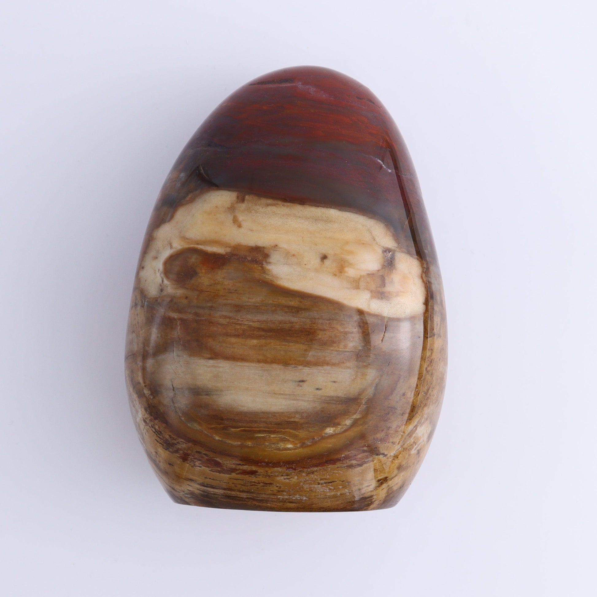 Petrified Wood Freeforms Set of 3 - Expert Wholesale and Supplier of Wholesale Crystals & Bulk Gemstones, ["Freeform","Freeforms","Madagascar","Petrified Wood"]