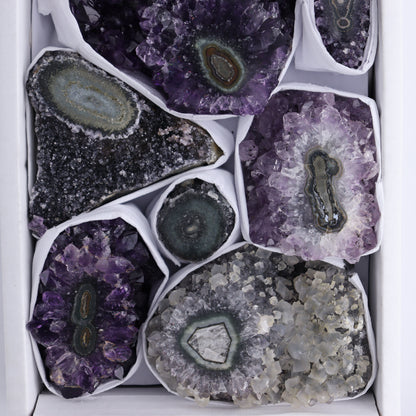 Uruguay Amethyst Clusters with "Eyes" Flat of 9 - Expert Wholesale and Supplier of Wholesale Crystals & Bulk Gemstones, ["Amethyst","Clusters","Eyes Amethyst","Uruguay"]