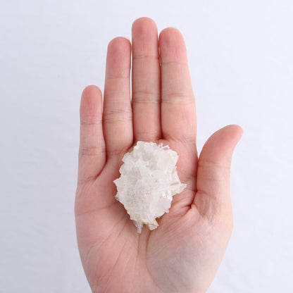 Lemurian Clusters from Columbia Set of 6 | Mi Esperanza Minerals | Supplier of Crystals and Onyx