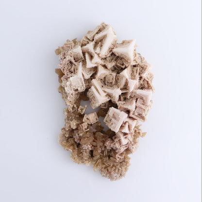 Halite on Trona from Owens Lake Set of 2 - Expert Wholesale and Supplier of Wholesale Crystals & Bulk Gemstones, ["California","close_70","Flats","Halite","halite on trona","United States"]