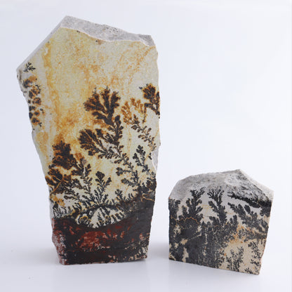 Dendrites Flat Set of 4 - Expert Wholesale and Supplier of Wholesale Crystals & Bulk Gemstones, ["Dendrite","Flats"]