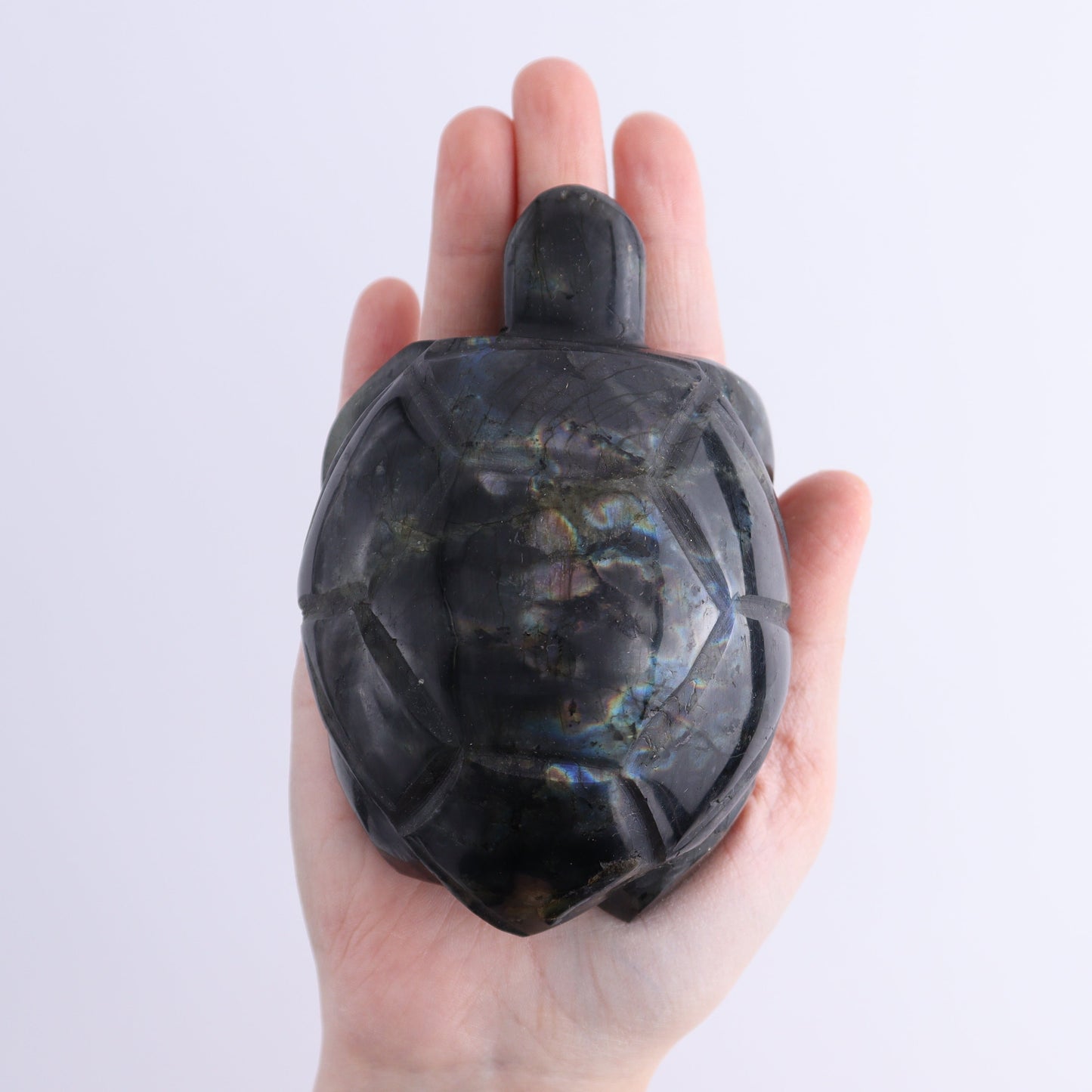 Labradorite Turtles Set of 5