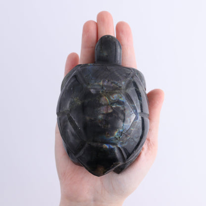 Labradorite Turtles Set of 5