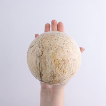 Petrified Wood Spheres Set of 3 - Expert Wholesale and Supplier of Wholesale Crystals & Bulk Gemstones, ["Indonesia","Petrified Wood","Spheres"]