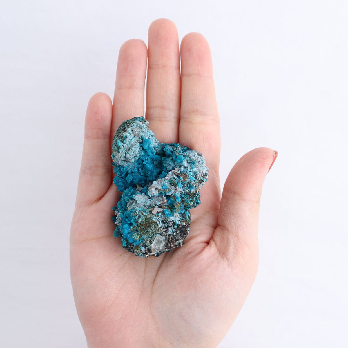 Chrysocolla on Quartz Roughs Set of 18
