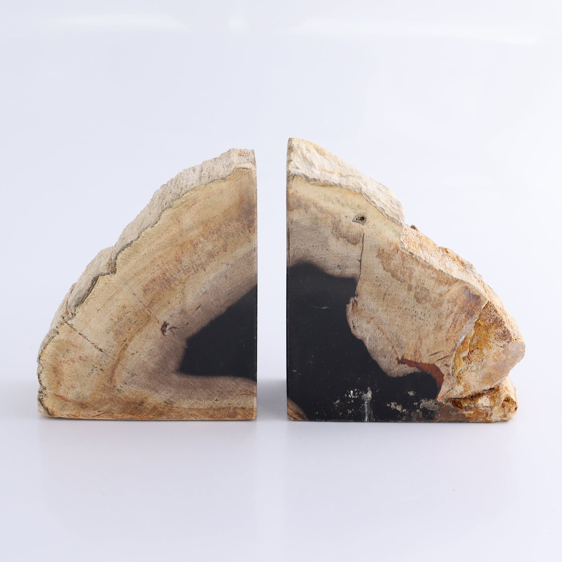 One Pair of Black Petrified Wood Bookends - Expert Wholesale and Supplier of Wholesale Crystals & Bulk Gemstones, ["Bookends","Indonesia","Petrified Wood"]