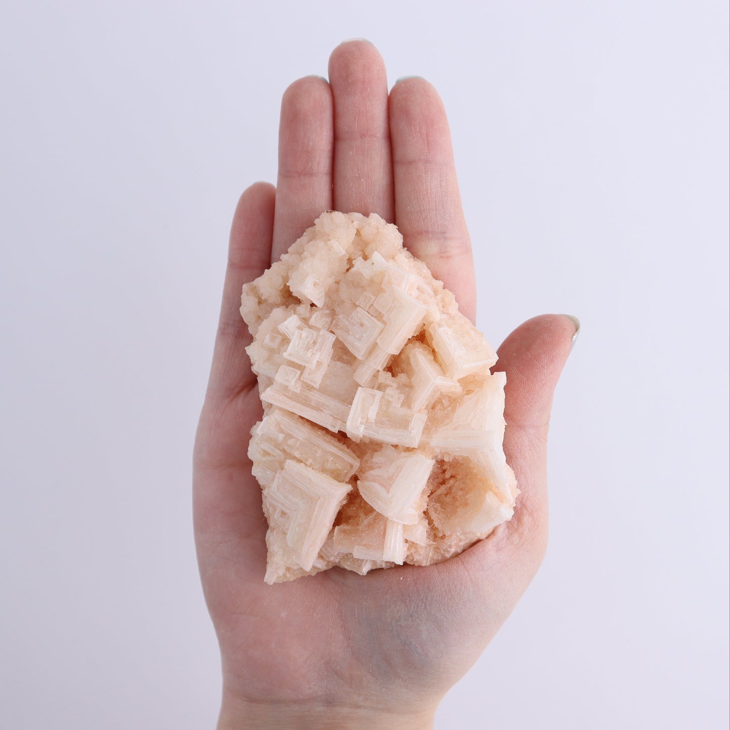 Halite and Halite on Trona from Owens Lake Set of 6 - Expert Wholesale and Supplier of Wholesale Crystals & Bulk Gemstones, ["California","Flats","Halite","halite on trona","Pink Halite","United States"]