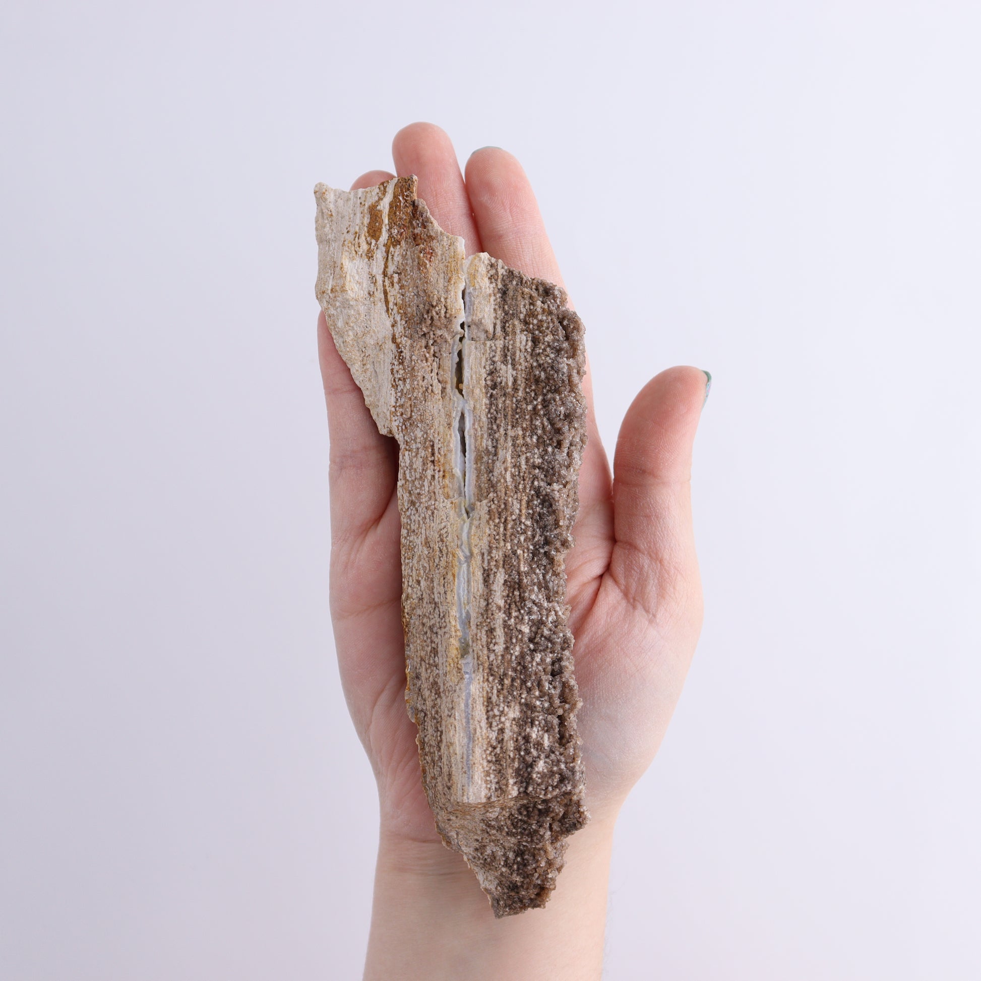 Petrified Wood Rough Set of 3 - Expert Wholesale and Supplier of Wholesale Crystals & Bulk Gemstones, ["Freeforms","Petrified Wood","Rough"]