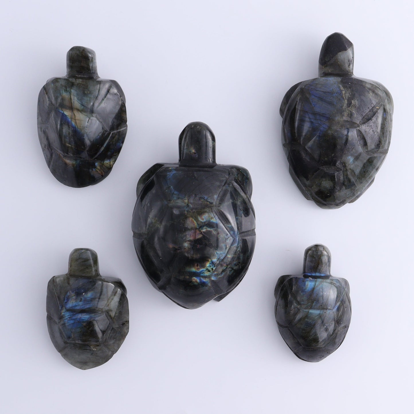 Labradorite Turtles Set of 5