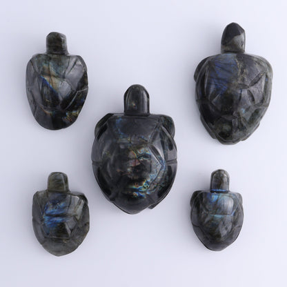 Labradorite Turtles Set of 5