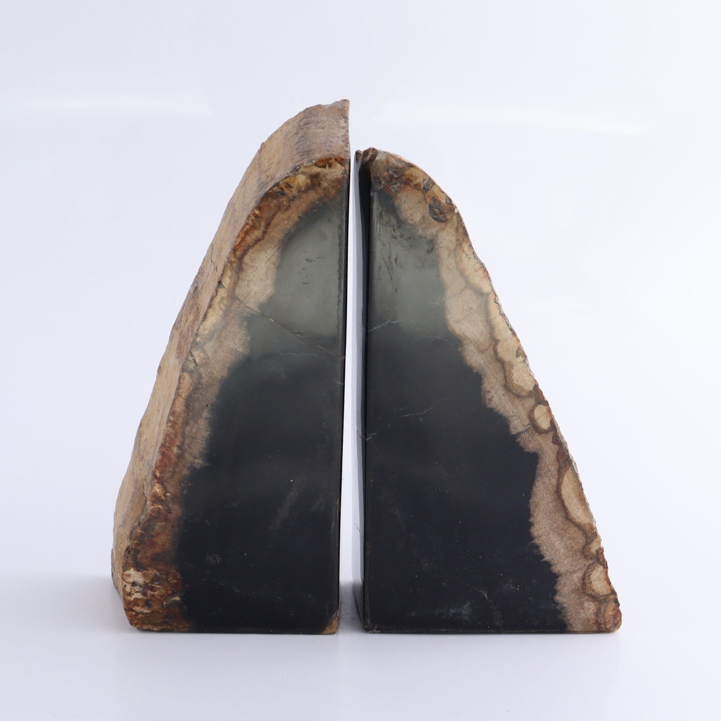 One Pair of Black Petrified Wood Bookends - Expert Wholesale and Supplier of Wholesale Crystals & Bulk Gemstones, ["Bookends","Indonesia","Petrified Wood"]