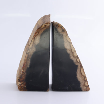 One Pair of Black Petrified Wood Bookends - Expert Wholesale and Supplier of Wholesale Crystals & Bulk Gemstones, ["Bookends","Indonesia","Petrified Wood"]