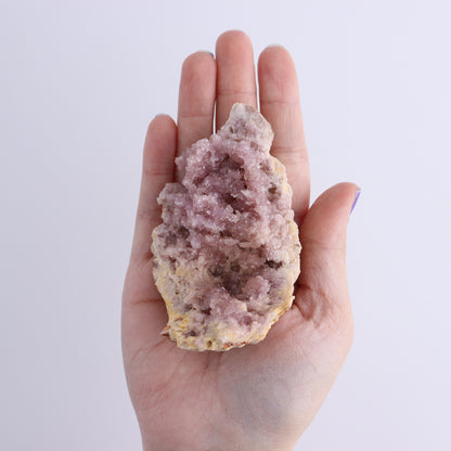 Pink Amethyst Geodes Flat of 18 - Expert Wholesale and Supplier of Wholesale Crystals & Bulk Gemstones, ["Amethyst","Pink Amethyst"]