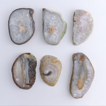 Agate Slices Set of 6 - Expert Wholesale and Supplier of Wholesale Crystals & Bulk Gemstones, ["Agate","Brazil","Slices and Slabs"]