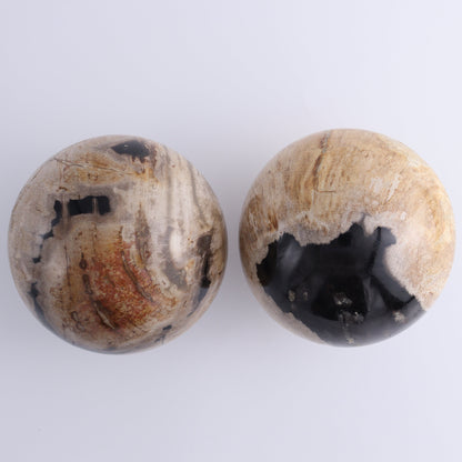 Petrified Wood Spheres Set of 2 - Expert Wholesale and Supplier of Wholesale Crystals & Bulk Gemstones, ["Indonesia","Petrified Wood","Spheres"]