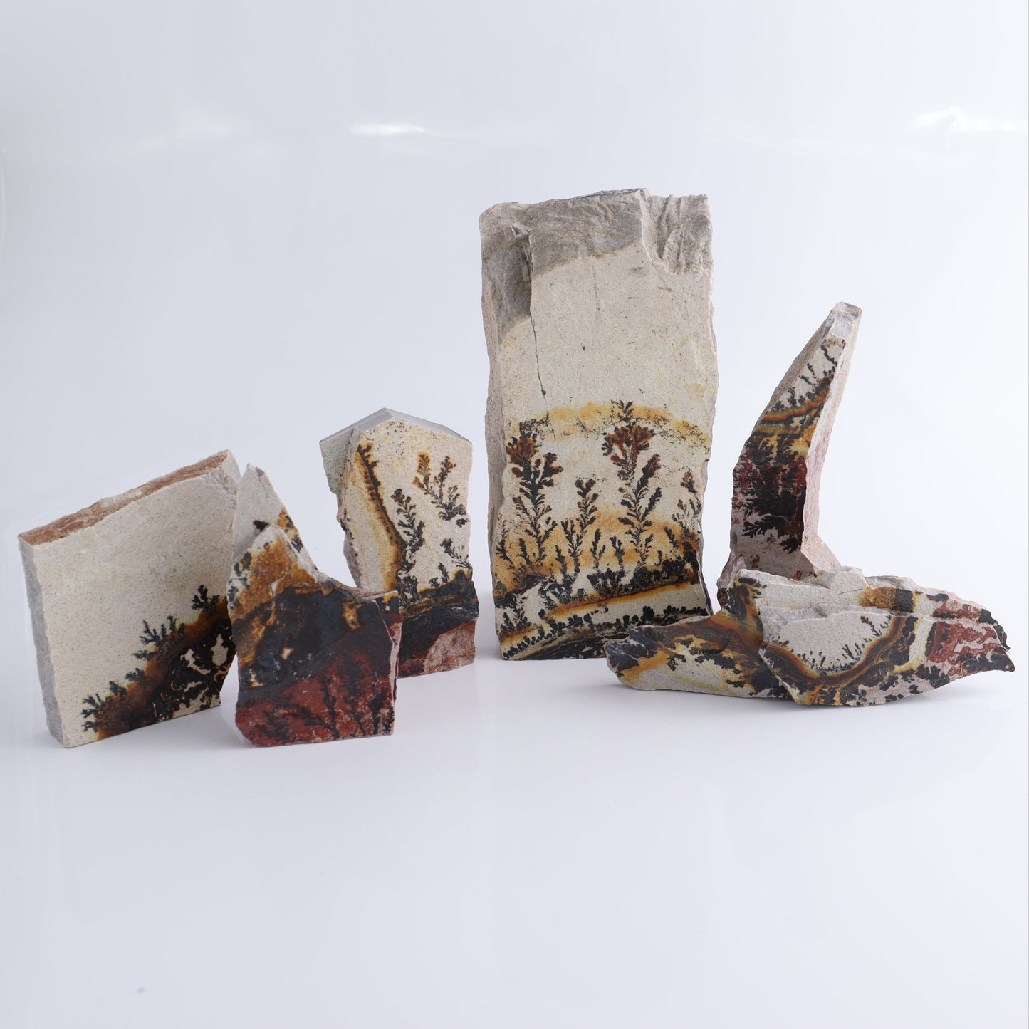Dendrites Flat Set of 6 - Expert Wholesale and Supplier of Wholesale Crystals & Bulk Gemstones, ["Dendrite","Flats"]