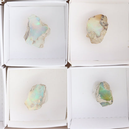 Ethiopian Opal Set of 10 - Expert Wholesale and Supplier of Wholesale Crystals & Bulk Gemstones, ["Ethiopia","ethiopian opal","Opal"]