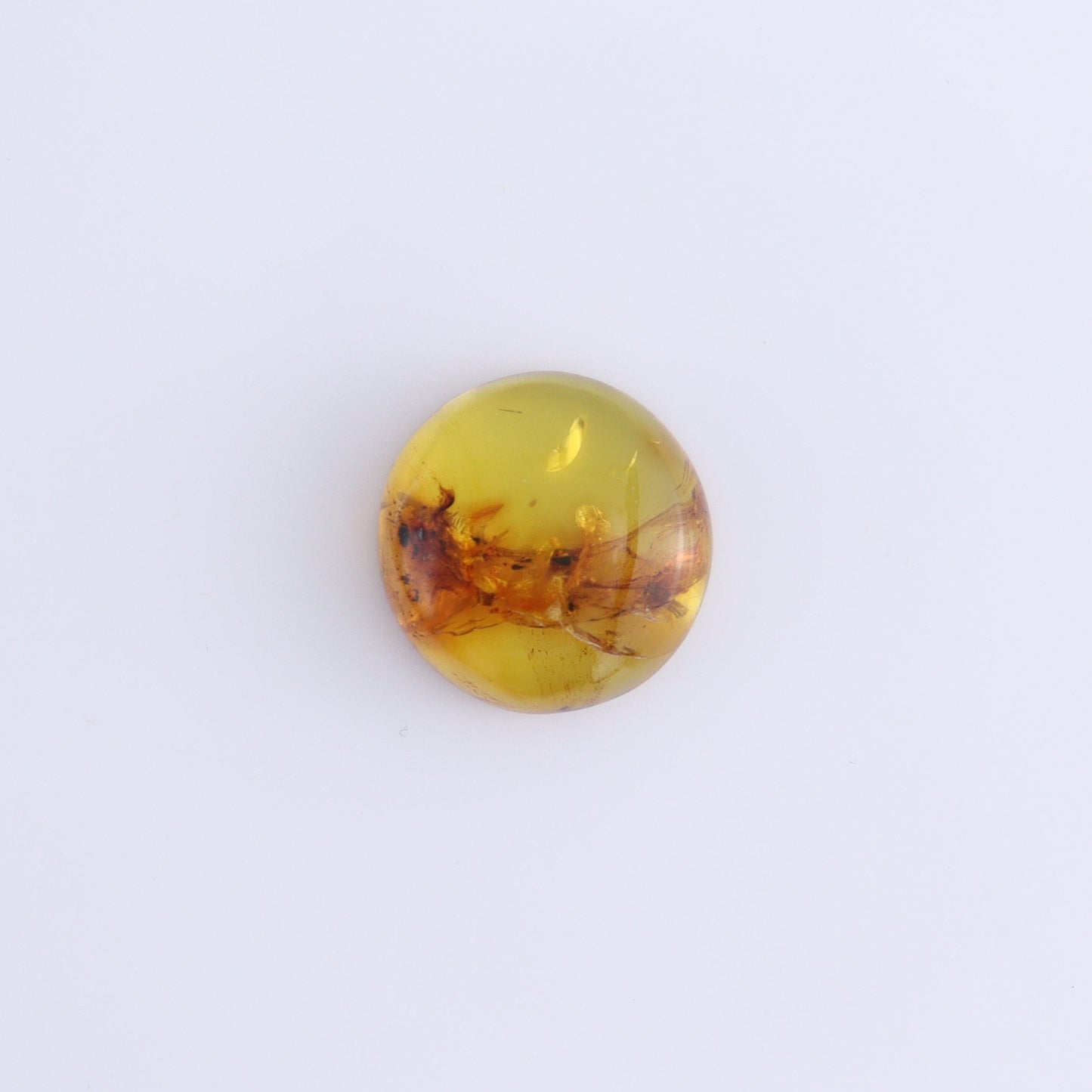 Chiapas Mexico Amber Cabs Set of 5 - Expert Wholesale and Supplier of Wholesale Crystals & Bulk Gemstones, ["Amber","Cabs","Chiapas Amber","Mexico"]